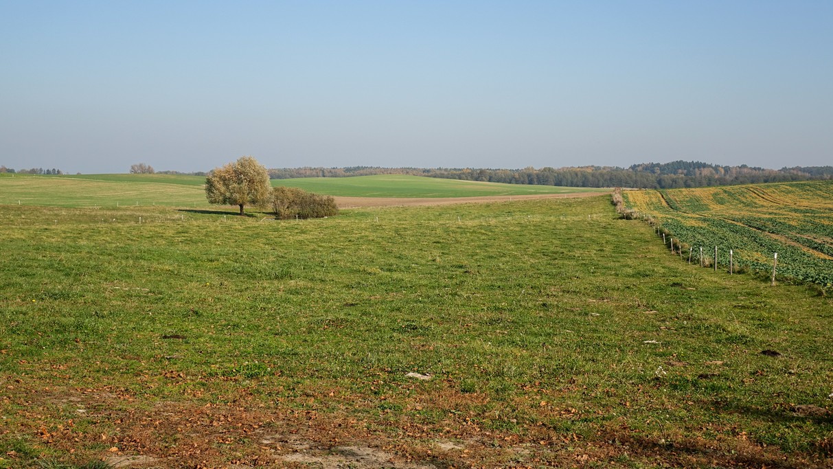 Jesienne krajobrazy za miastem - zdjęcie 32
