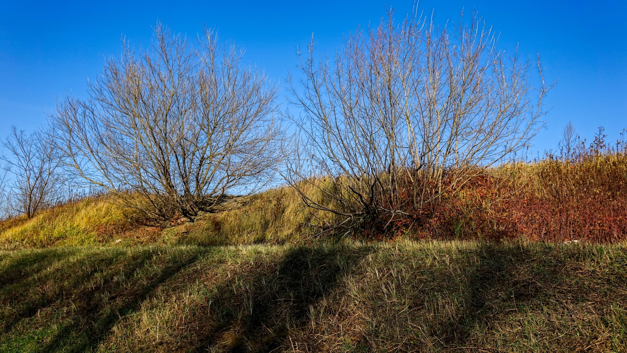Listopad w obiektywie - zdjęcie 4
