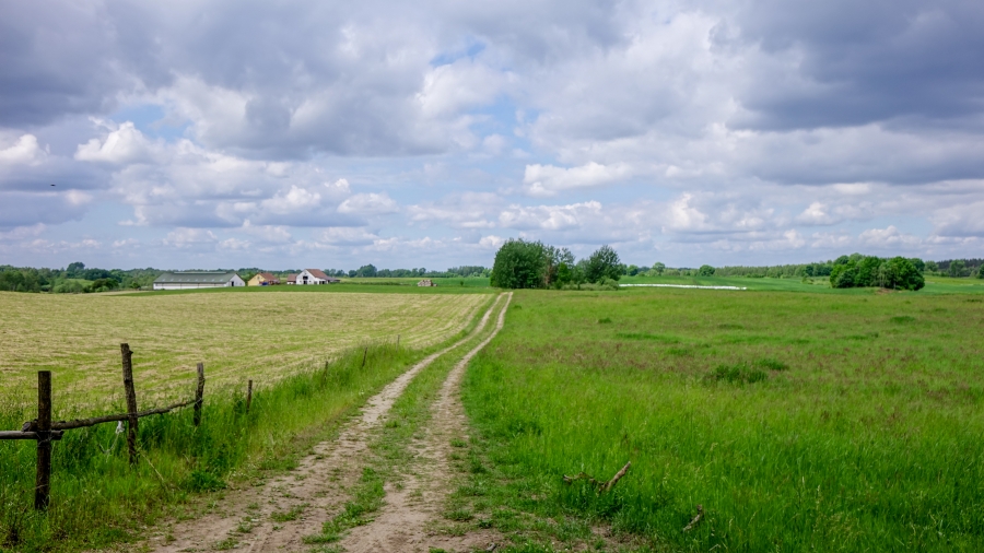 29.04.2019 11:00 Podróż przez wiosenną Polskę. Zobacz na zdjęciach, jak wiosna zaczyna się w miastach i na wsi