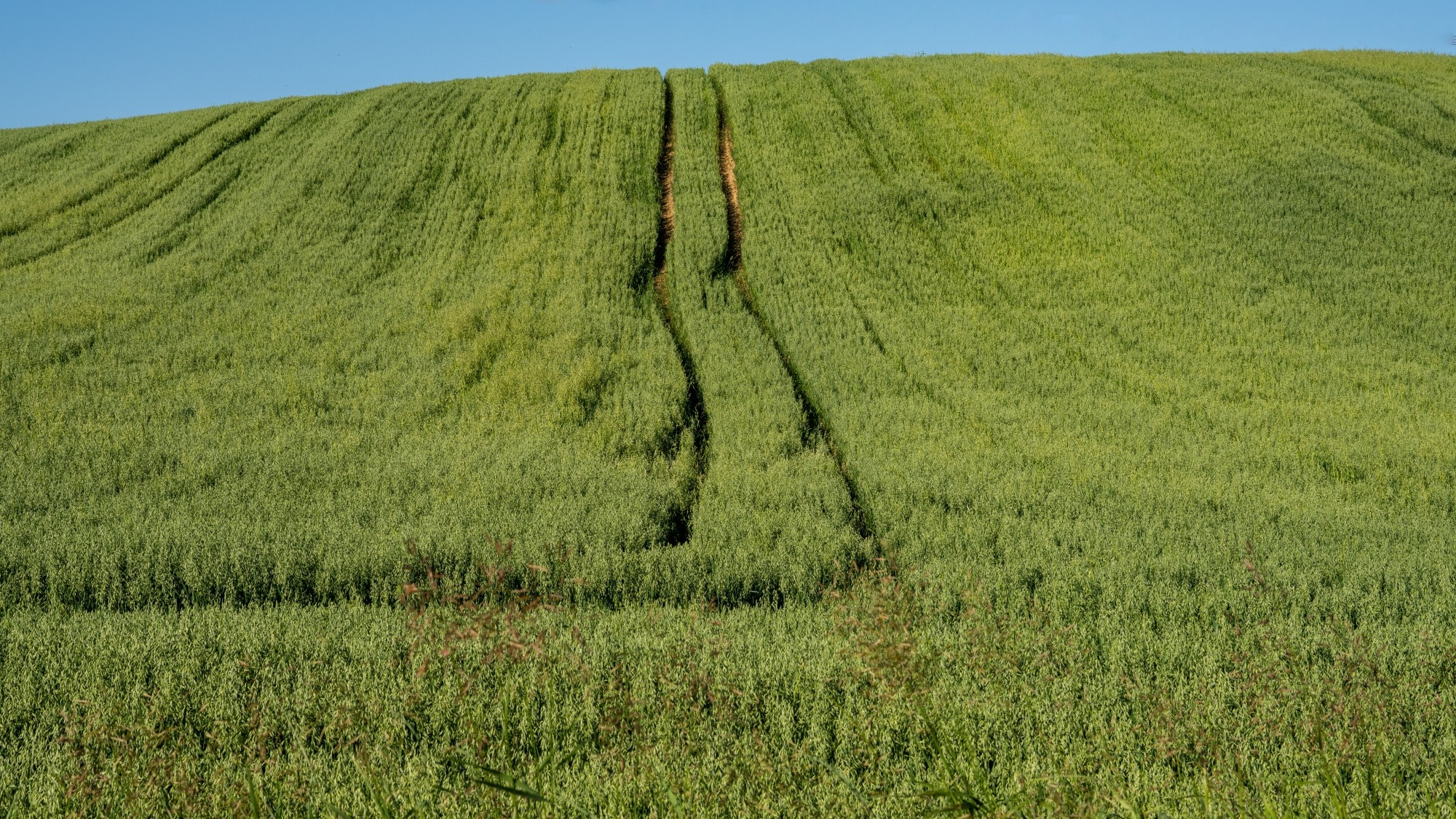 Kolory lata - zdjęcie 60