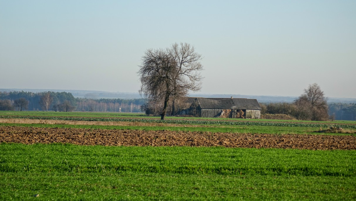 Listopad w obiektywie - zdjęcie 48