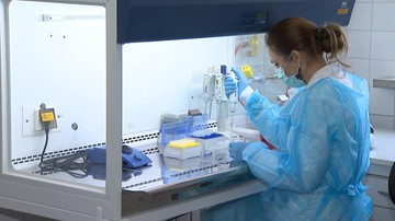 Świńska grypa znowu w Polsce. Potwierdzony przypadek w Olsztynie