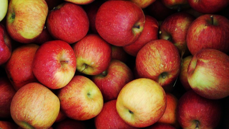 Polska nie jest już światowym liderem w eksporcie jabłek