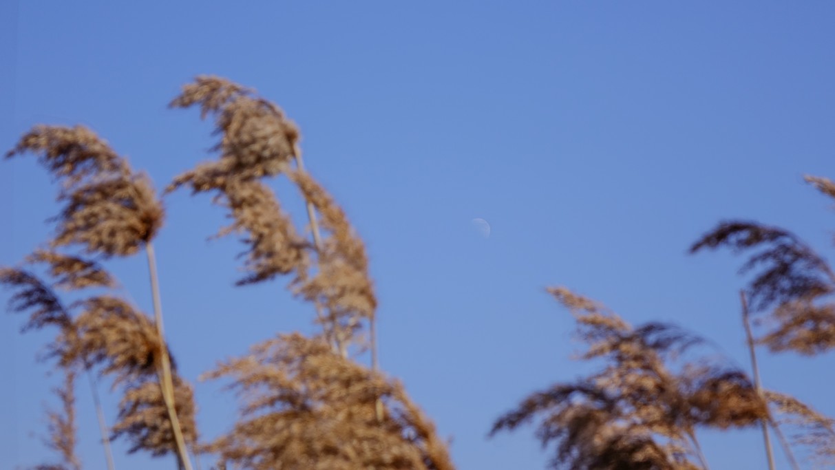 Marzec w obiektywie - zdjęcie 27