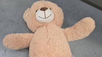 Pluszowy miś o "bogatym" wnętrzu. Interweniowała policja