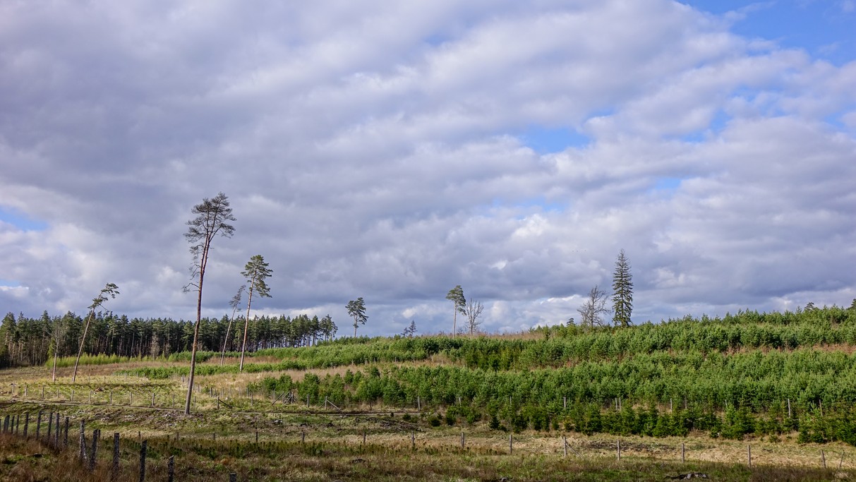 Maj w obiektywie - zdjęcie 25