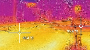 22.06.2021 07:00 Wycięli drzewa dające orzeźwiający cień w upalny dzień. Temperatura skoczyła do niemal 50 stopni