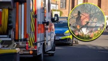 Tragiczny wypadek Tesli w Niemczech. Nie żyje ojciec i dwoje dzieci