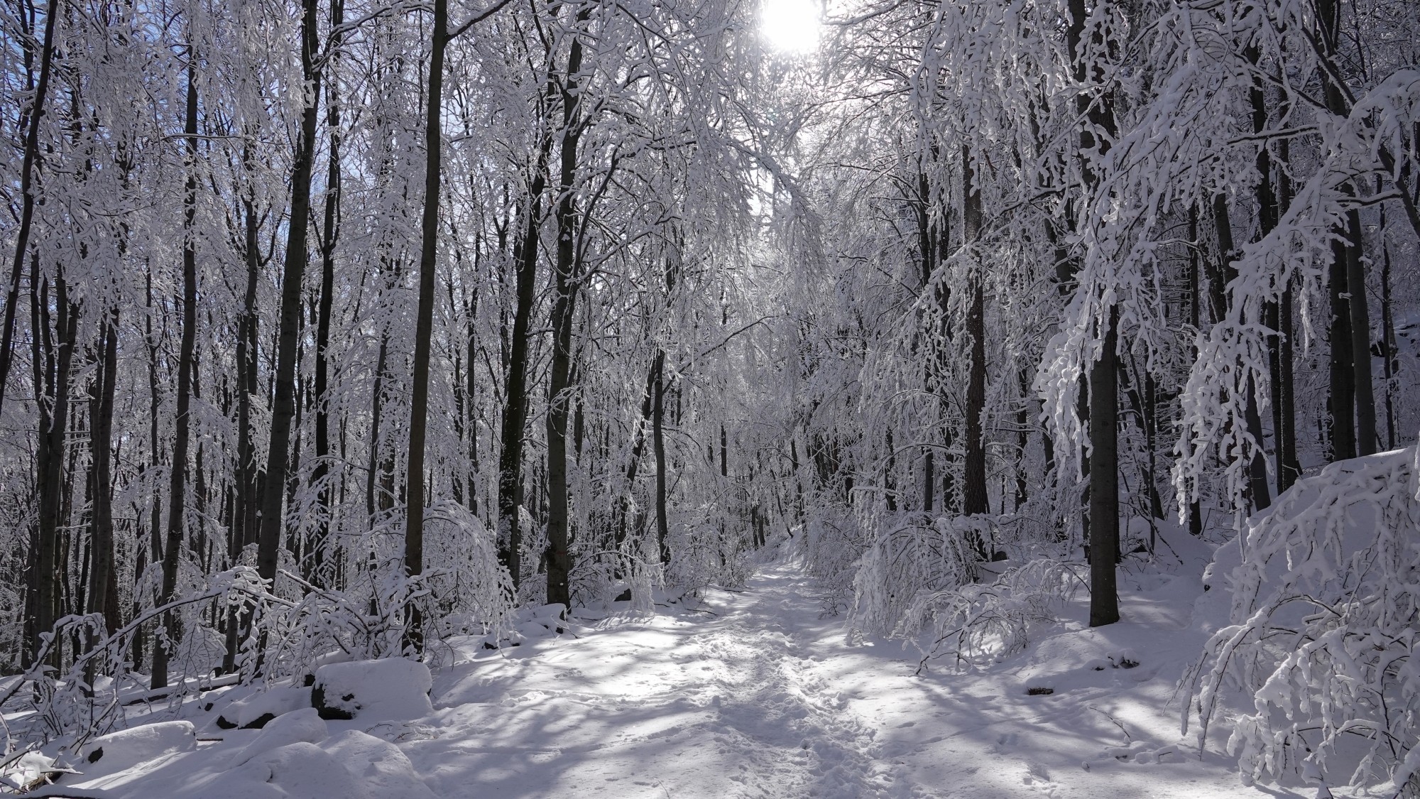 Kraina Narnii - zdjęcie 28