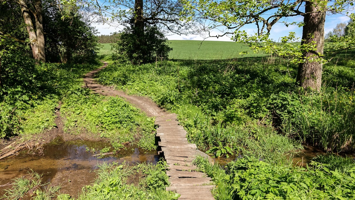 Piękno polskich krajobrazów - zdjęcie 22