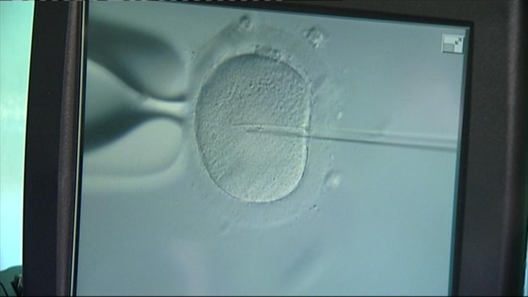 Do Sejmu trafił projekt ograniczający możliwość zapłodnienia metodą in vitro