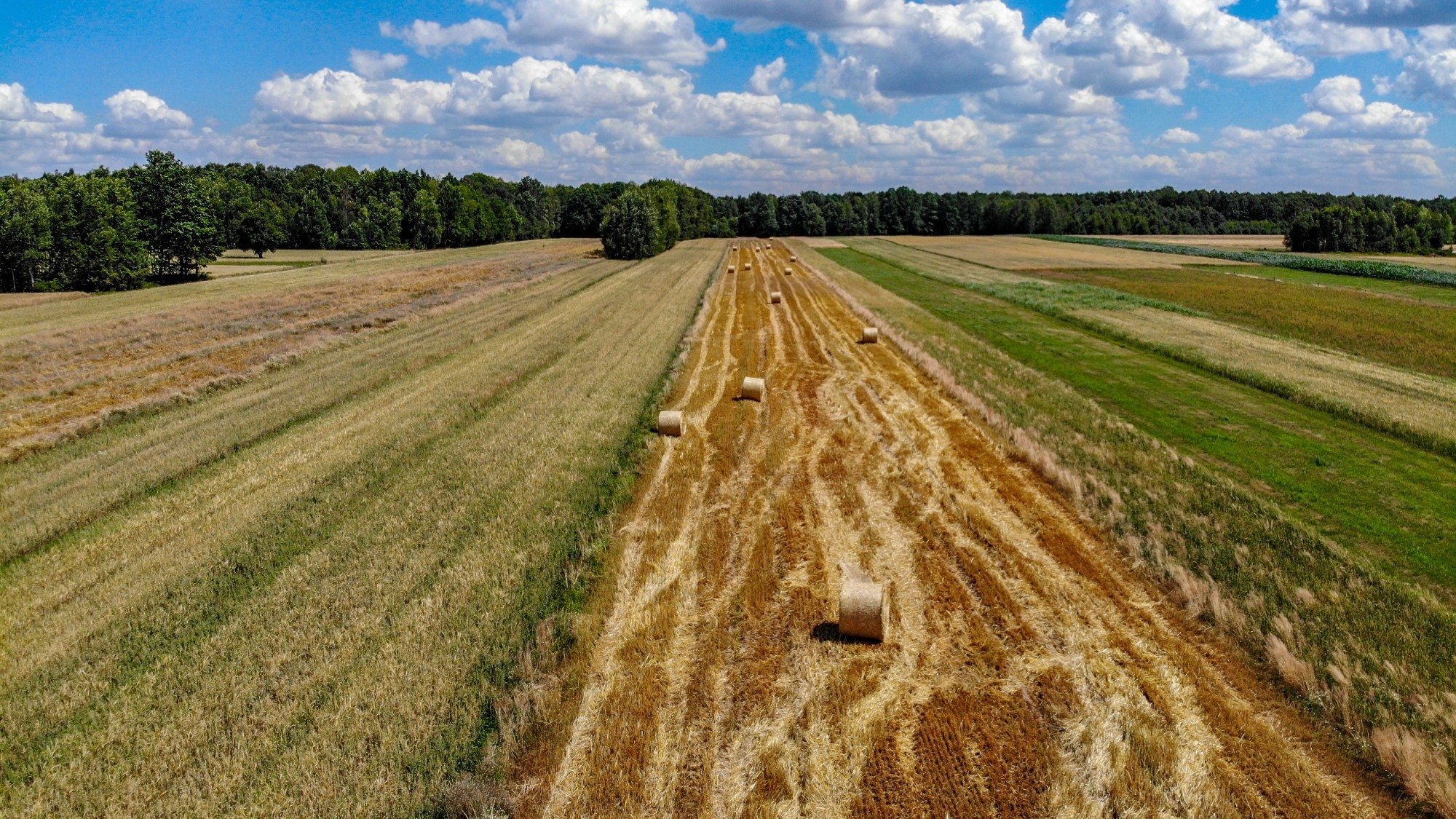 Niesamowita Polska z lotu ptaka - zdjęcie 18