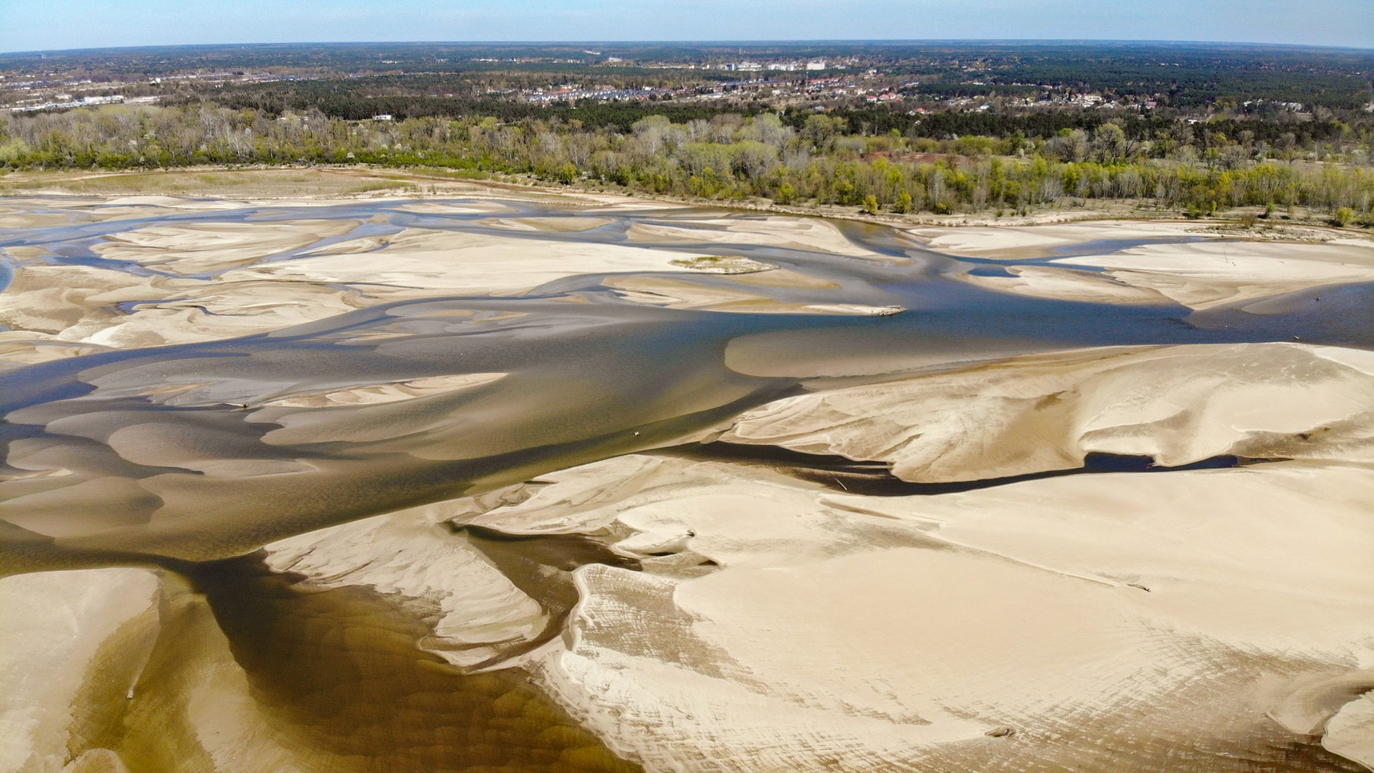 Susza na Wiśle - zdjęcie 6