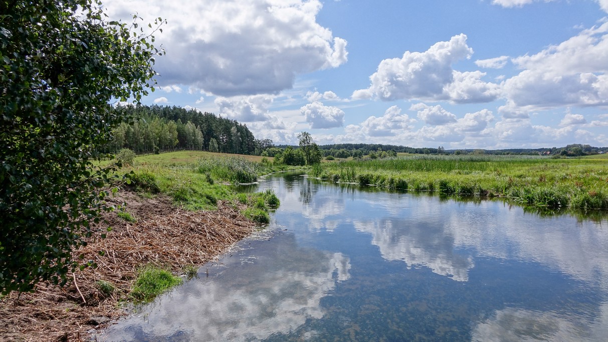 Nad morzem, jeziorami i rzekami - zdjęcie 10