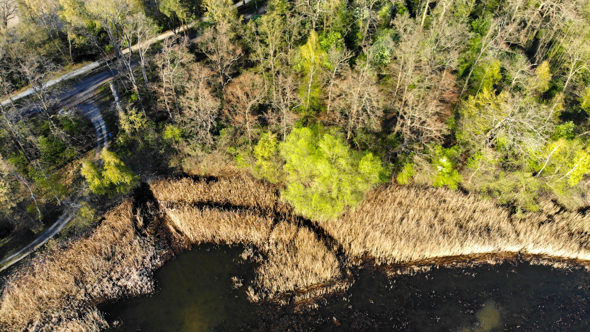 Wiosna w Polsce okiem drona - zdjęcie 6