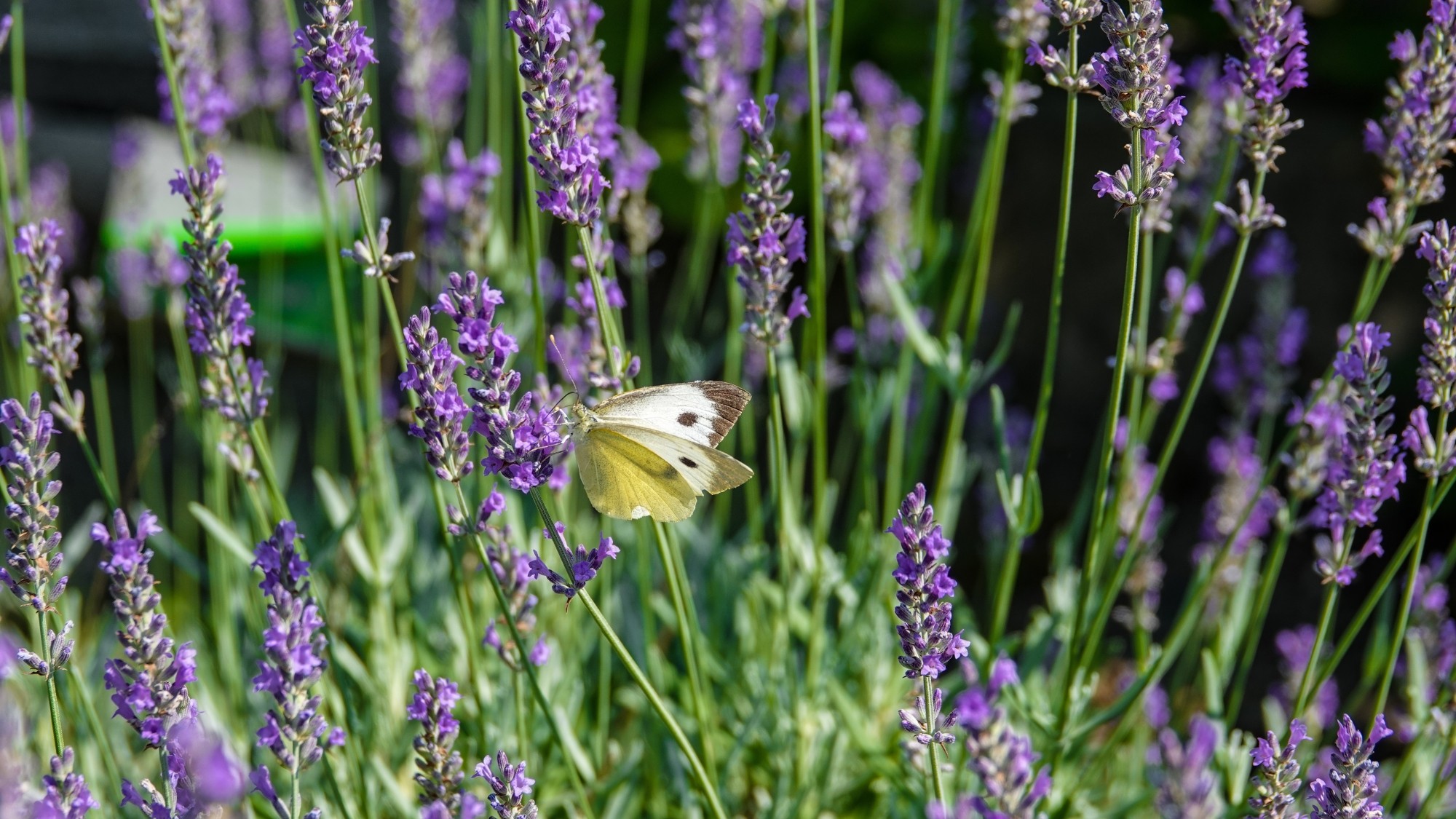 100 najpiękniejszych zdjęć 2021 roku - zdjęcie 98