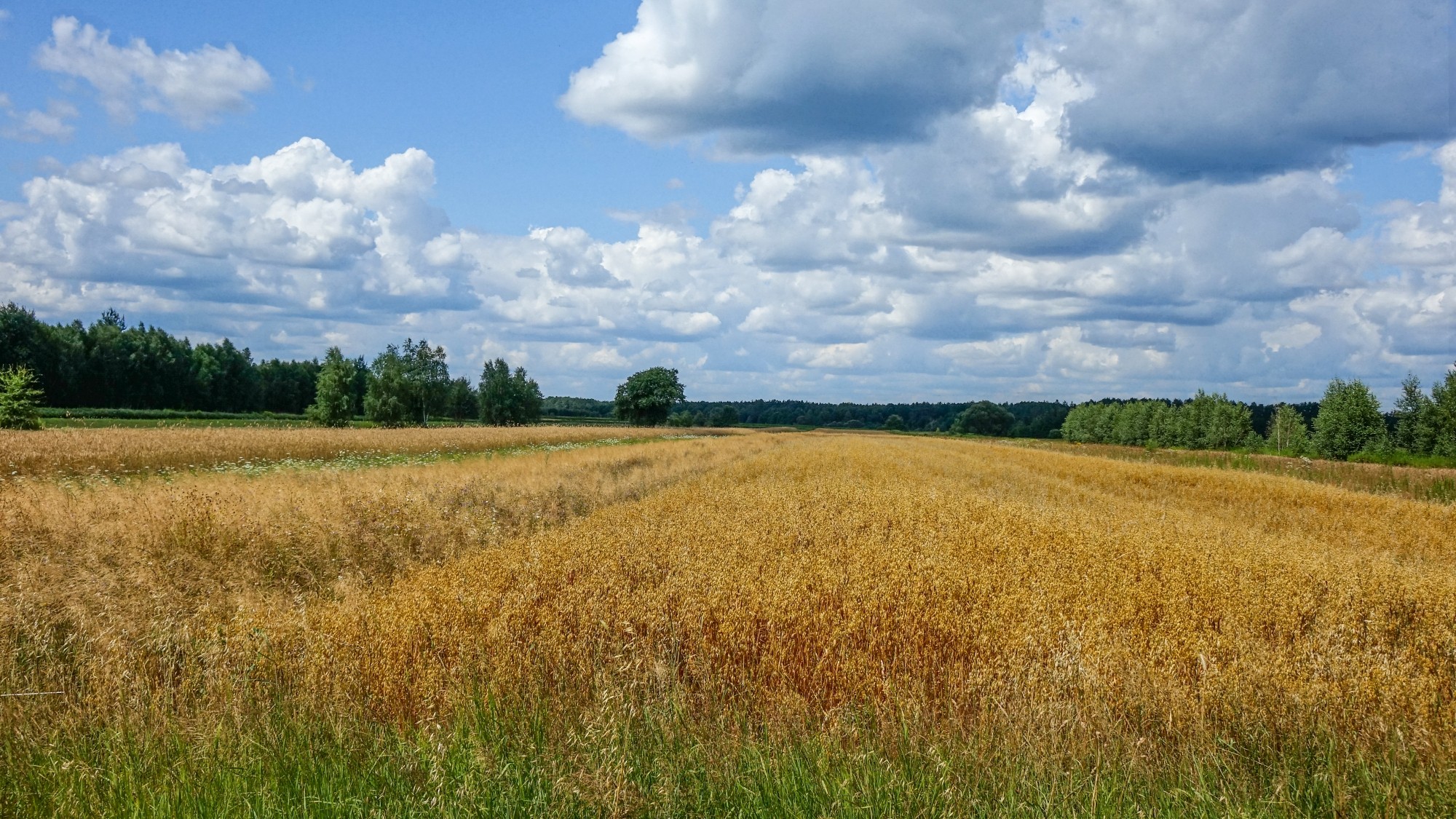 Lipiec w obiektywie - zdjęcie 45