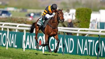 Koń wyścigowy z dżokejem pokonujący przeszkodę na torze podczas gonitwy Grand National.