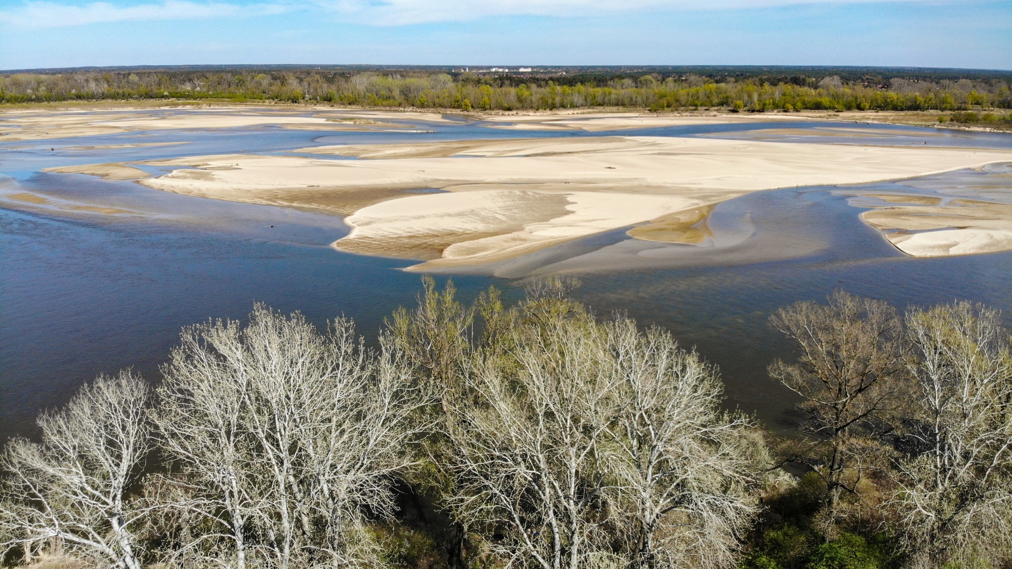 Susza na Wiśle - zdjęcie 16