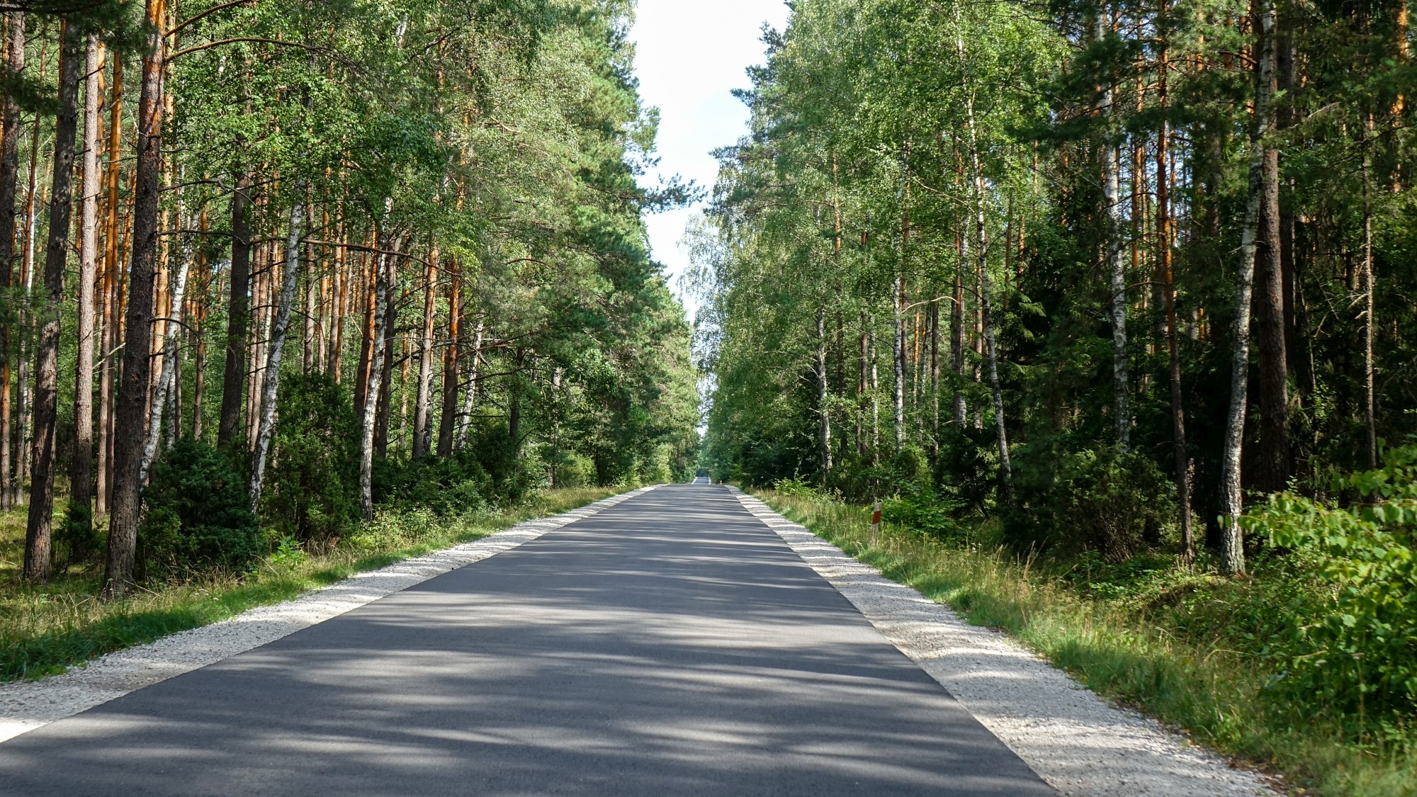 Sierpień w obiektywie - zdjęcie 25