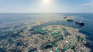 25.12.2025 05:59 Tej wyspy nie znajdziesz na mapach. Skrywa smutną tajemnicę