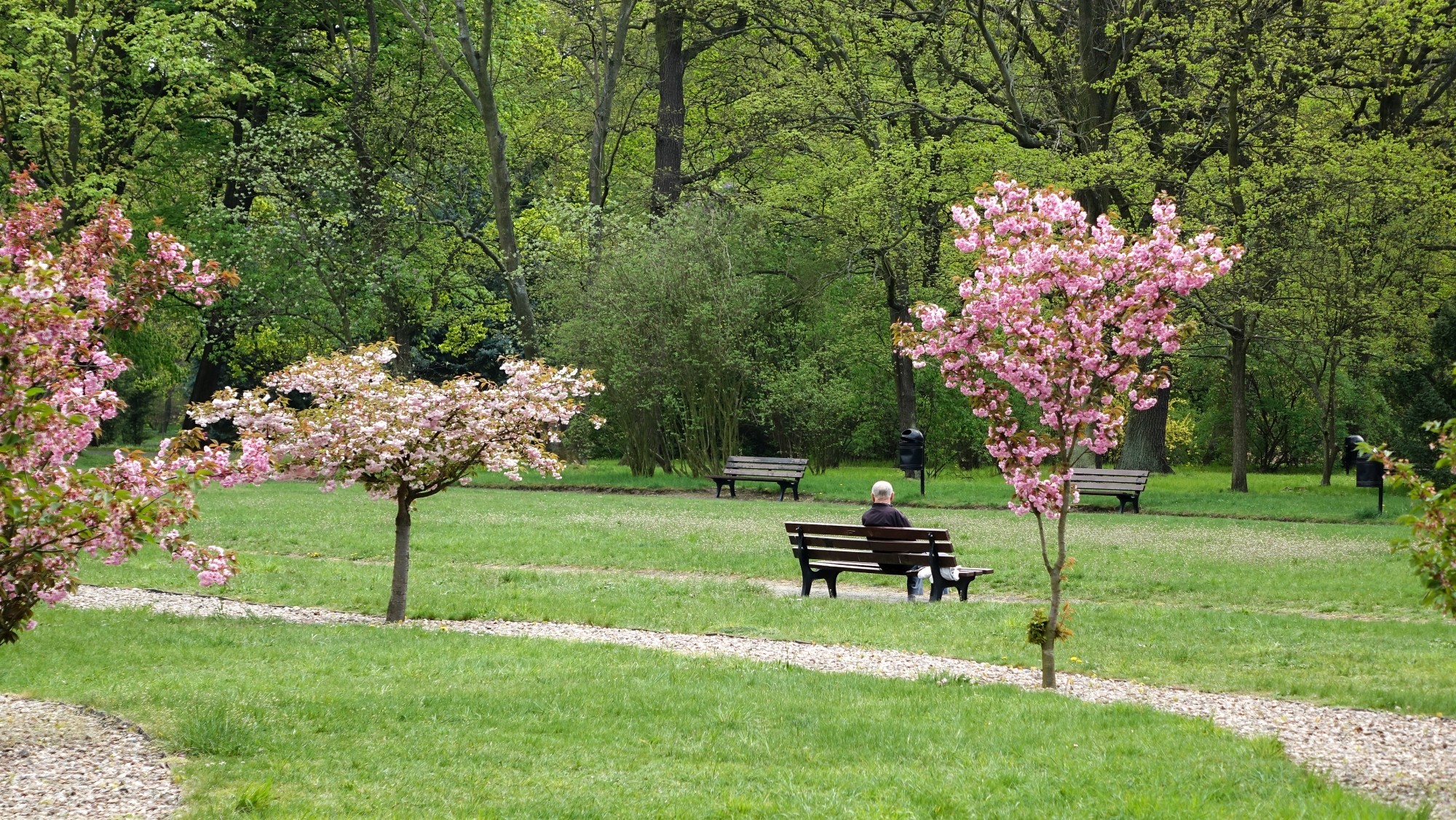 Kwitnąca wiosna - zdjęcie 22
