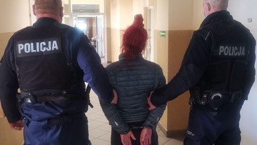Mały kot wyrzucony z trzeciego piętra. Zarzuty dla 46-latki