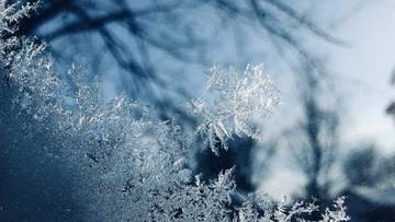 Zbliżenie na kryształki szronu na szybie, z rozmytym tłem przedstawiającym drzewa w zimowej scenerii.