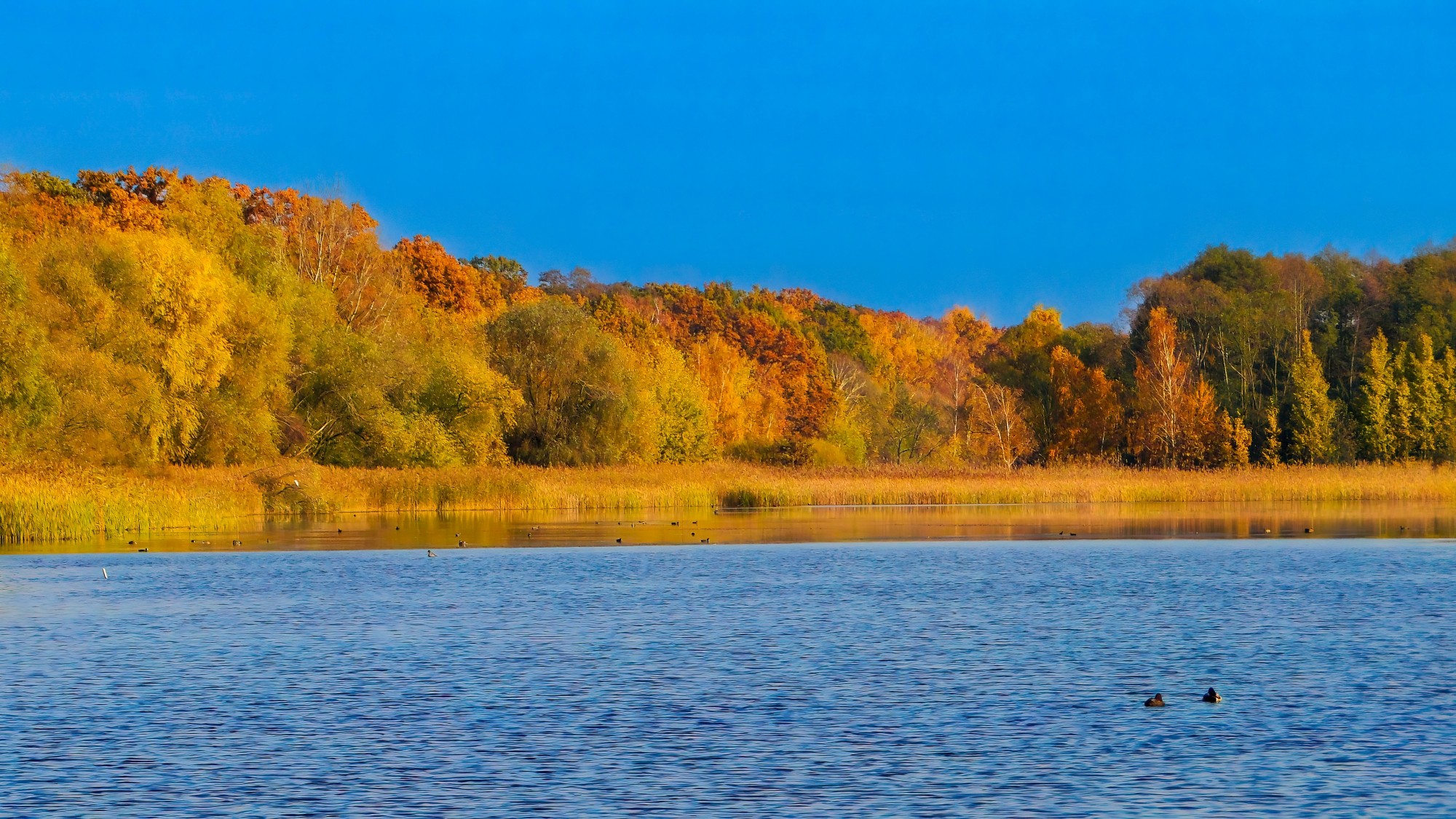 Polska jesienią - zdjęcie 12