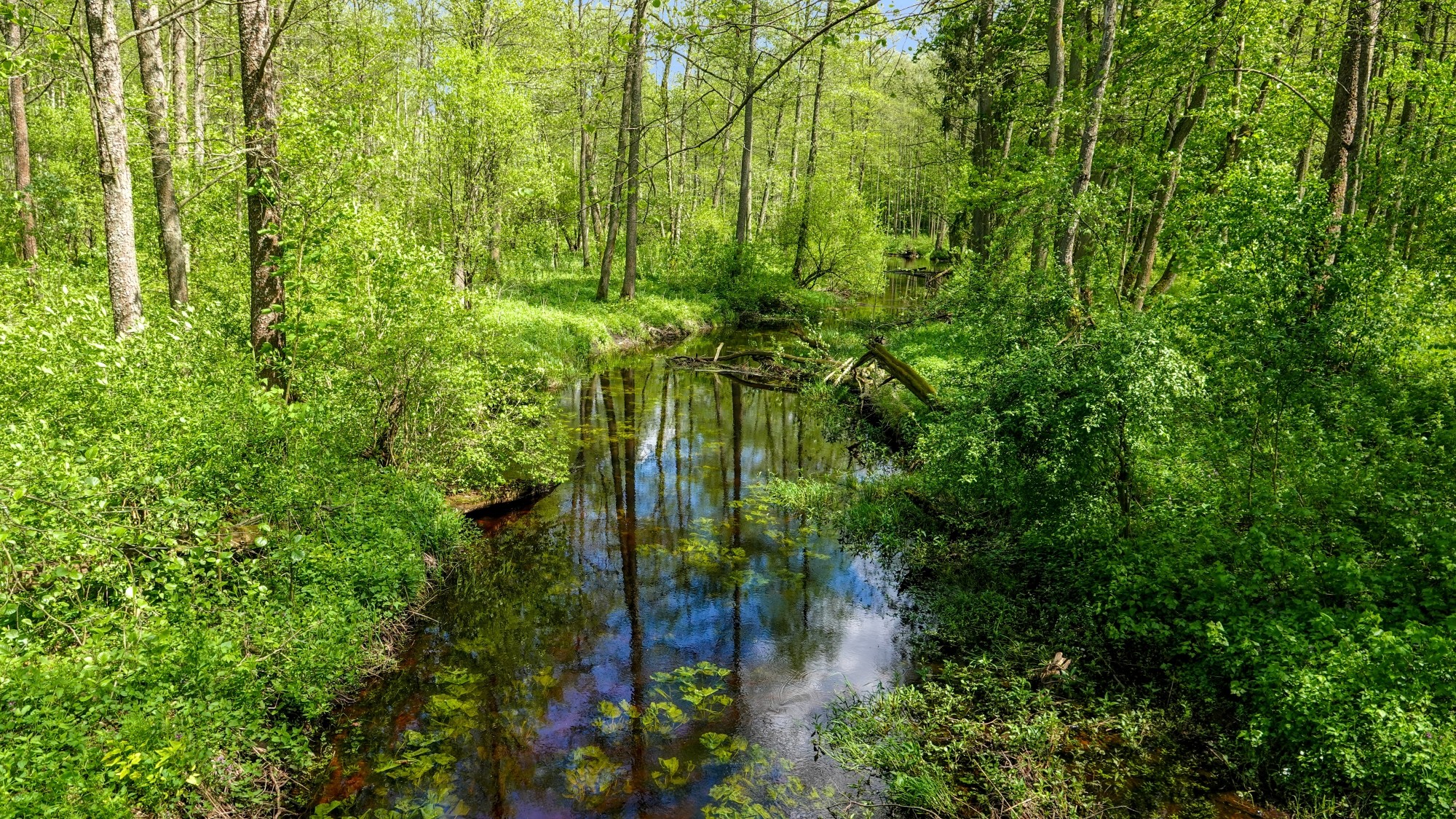 Od morza po góry - zdjęcie 41