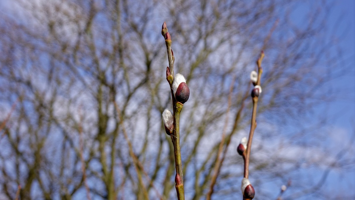 Luty w obiektywie - zdjęcie 5