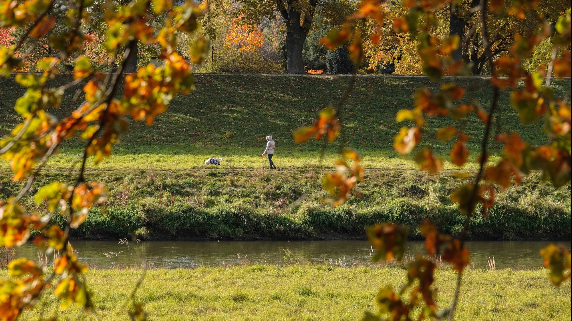 Jesienne klimaty - zdjęcie 18