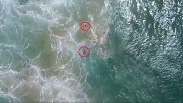 Nastoletni pływacy uratowani przez drona. Pierwszy taki przypadek w historii