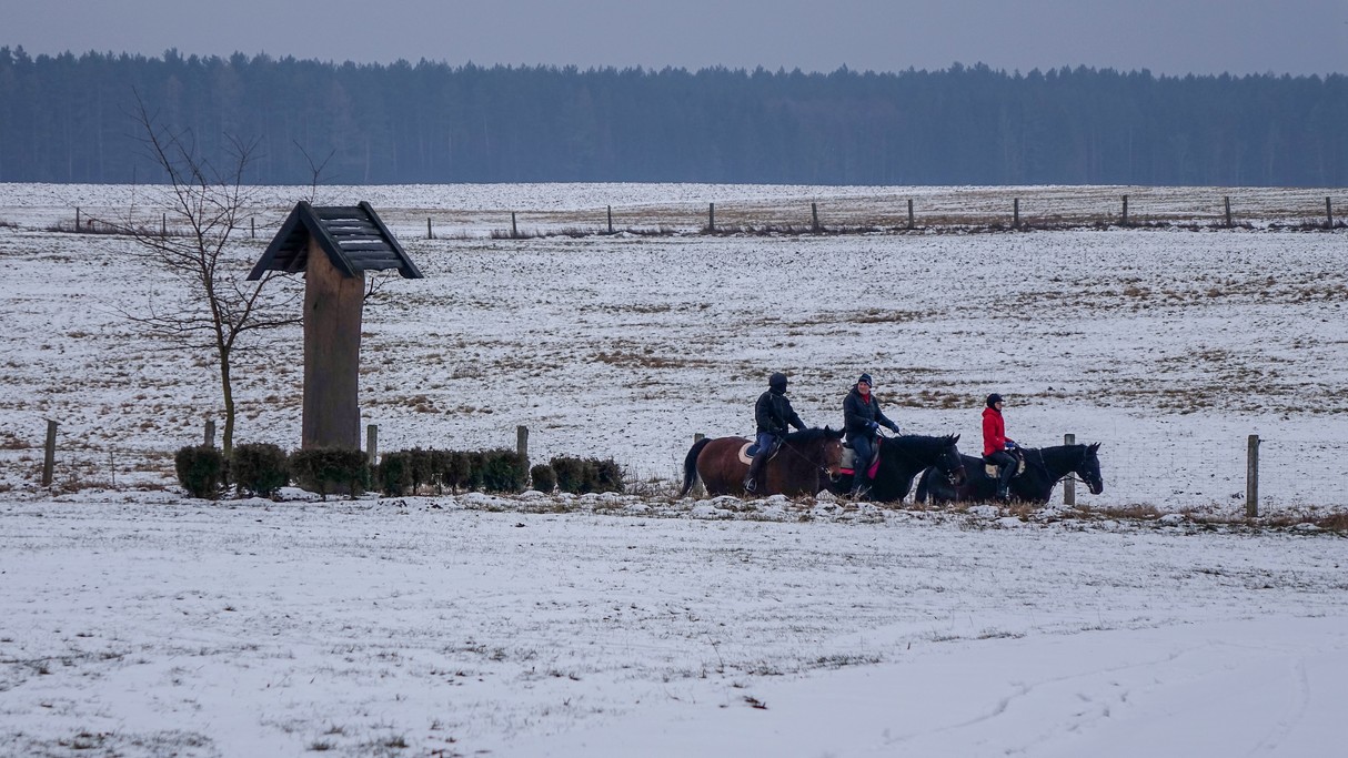 Minione zimy w Polsce - zdjęcie 15