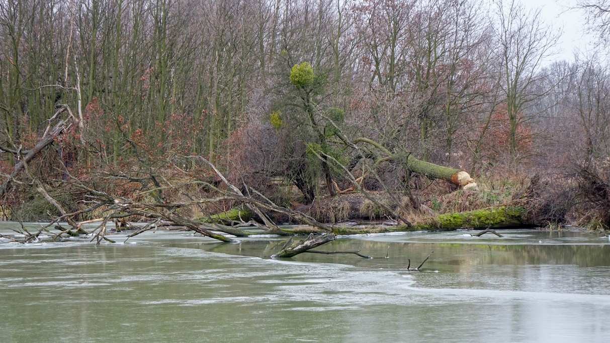 Styczeń w obiektywie - zdjęcie 23