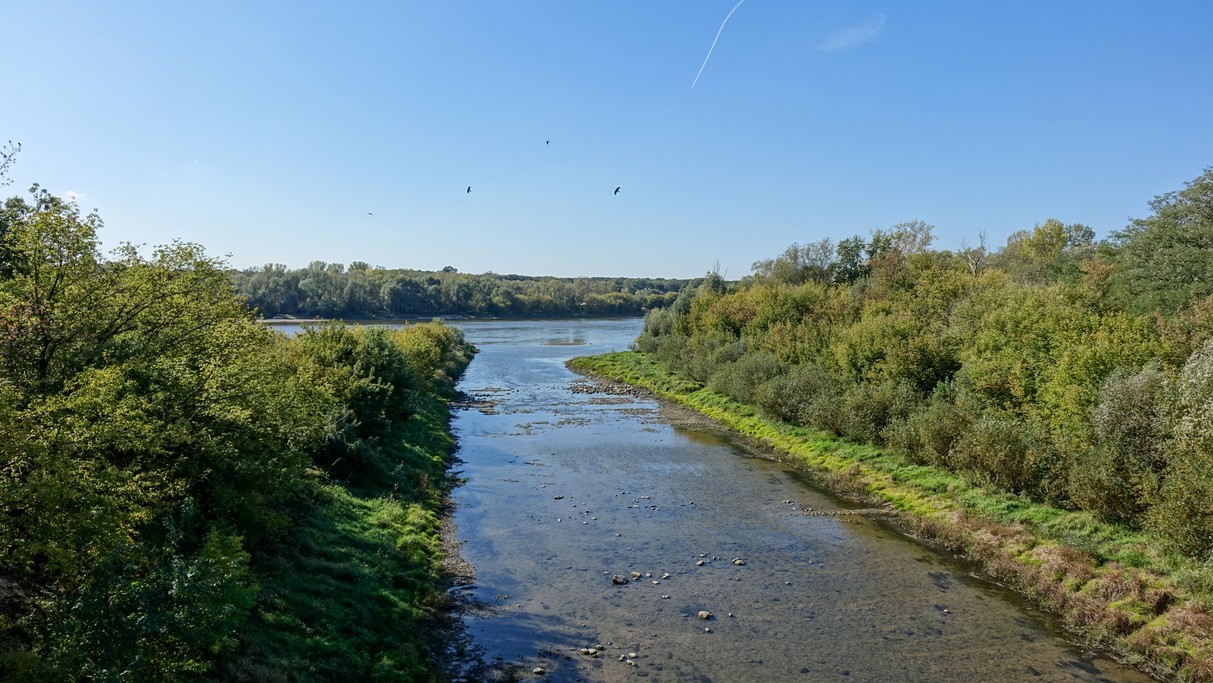 Uroki końca lata - zdjęcie 7