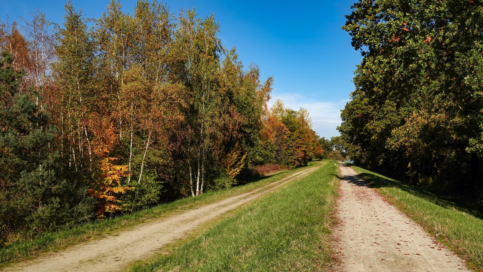 Wszystkie barwy jesieni - zdjęcie 19