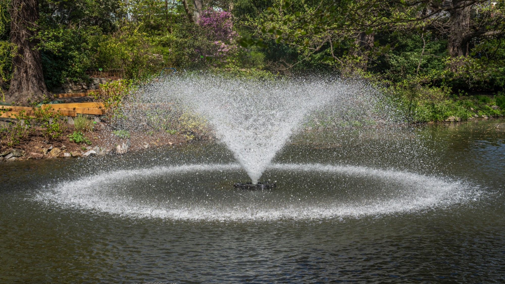 Wiosenna opowieść - zdjęcie 18