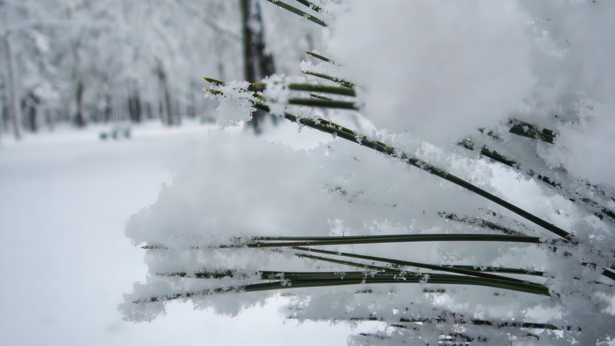 Śnieżne zimy sprzed lat - zdjęcie 24