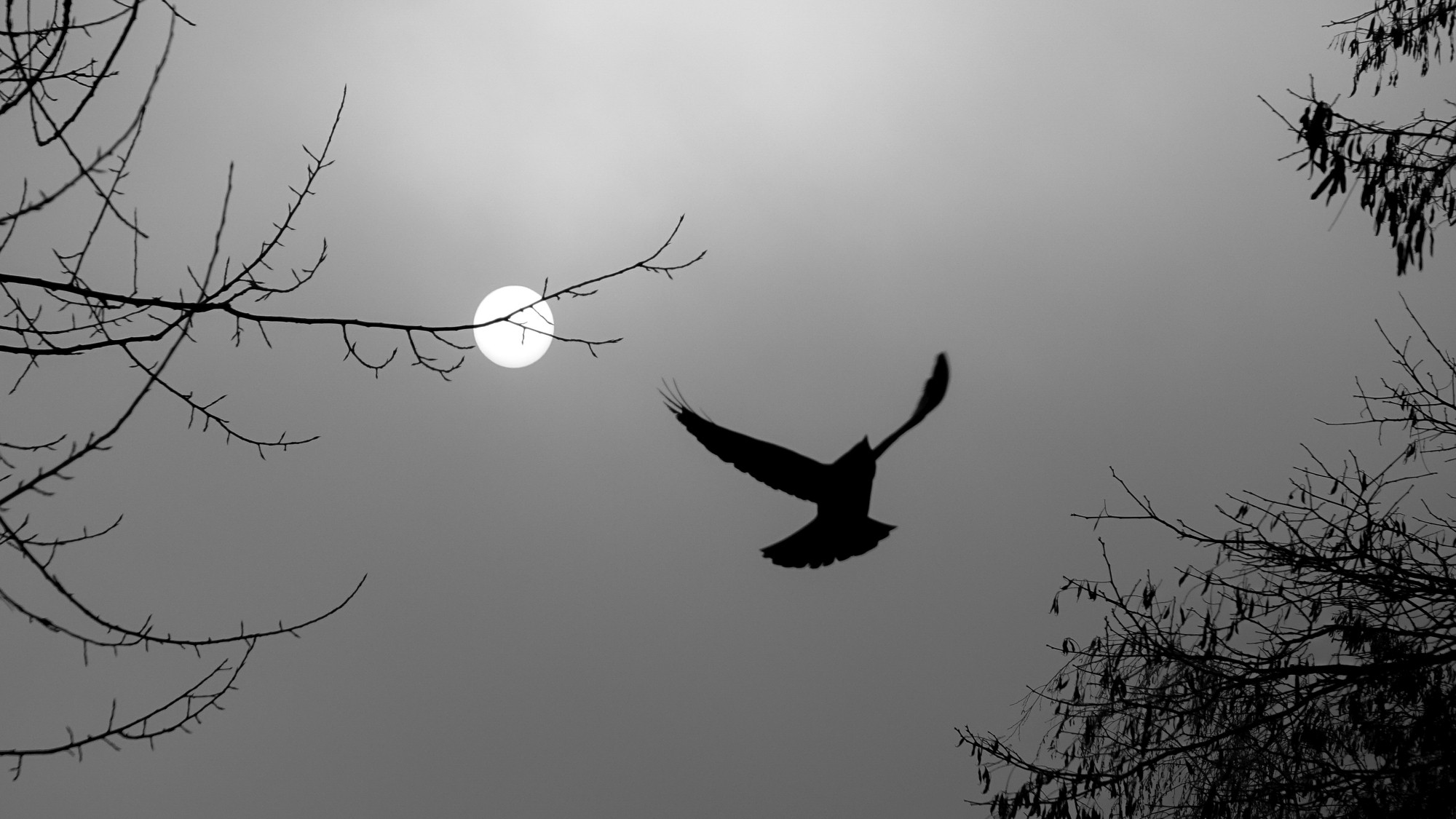 Z kamerą wśród zwierząt - zdjęcie 35