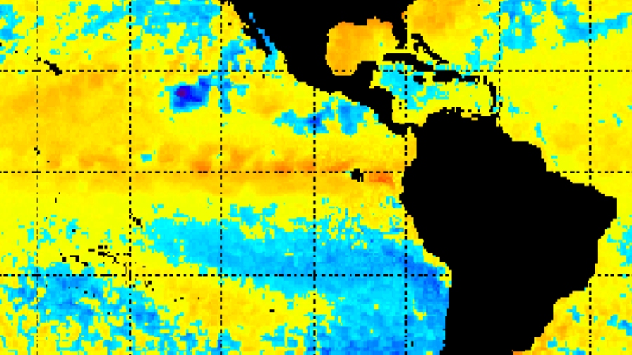Anomalie temperatury wód w Pacyfiku w ostatnim tygodniu. Czerwony obszar oznacza temperaturę wód przekraczającą normę, a więc formujące się El Niño. Fot. NOAA.