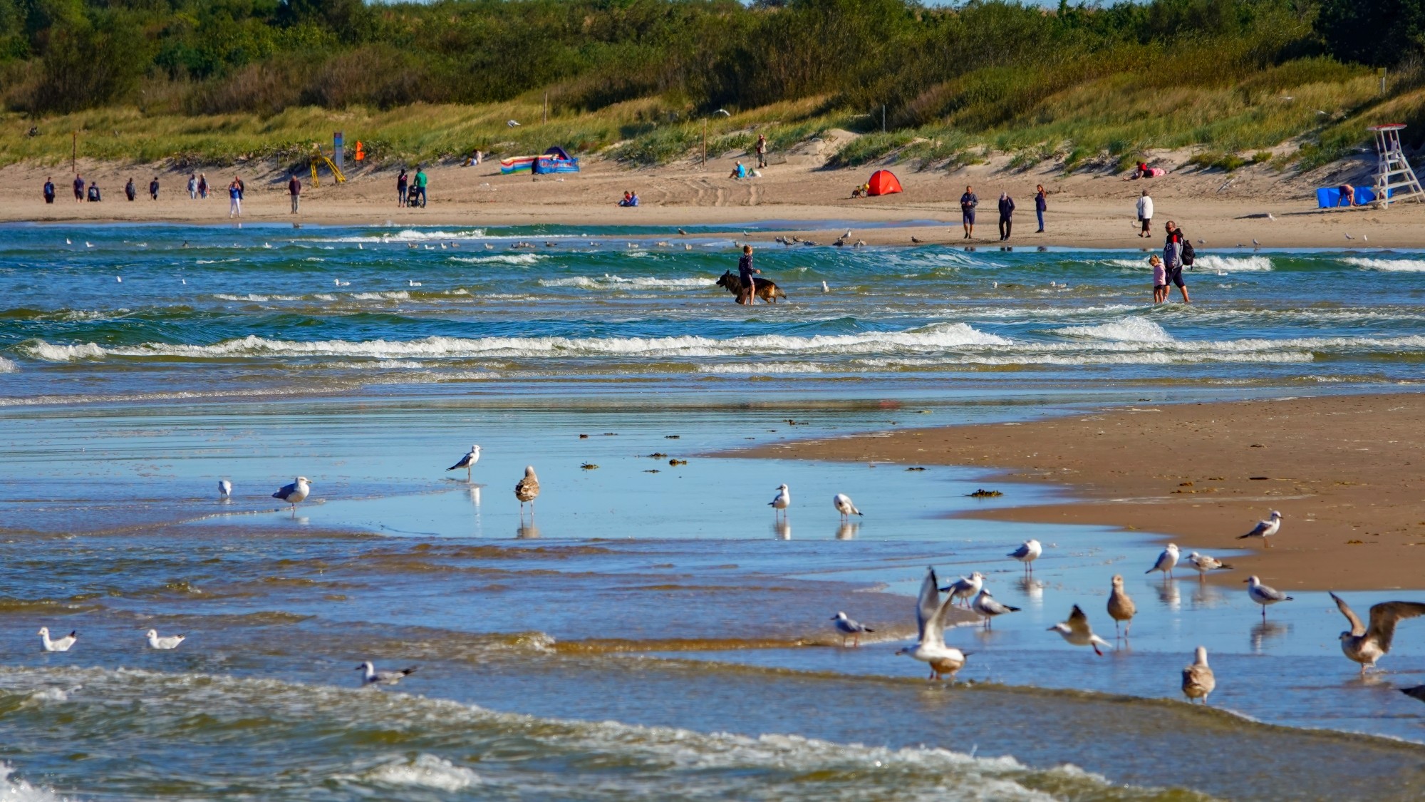 Bałtyk po sezonie - zdjęcie 24