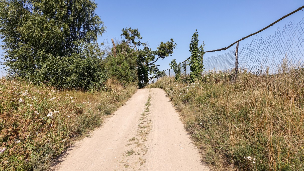 Lipiec w obiektywie - zdjęcie 40