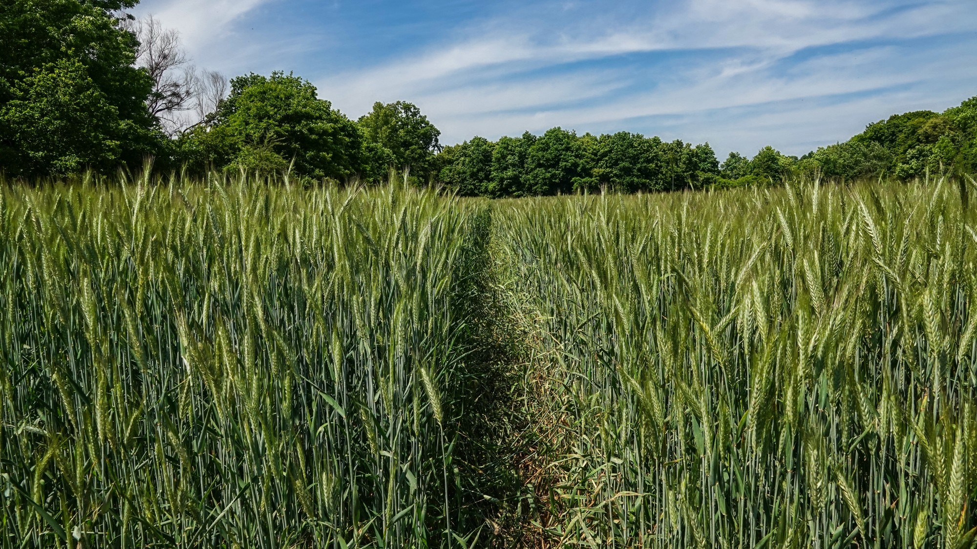 100 najpiękniejszych zdjęć 2020 roku - zdjęcie 46