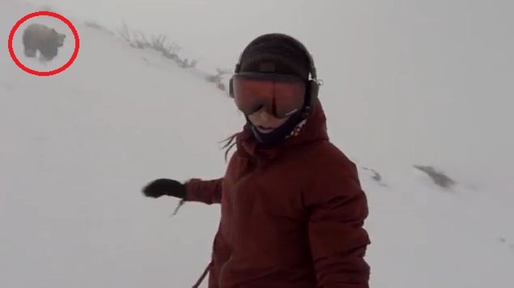 Niedźwiedź gonił snowboardzistkę, a ona nagrywała