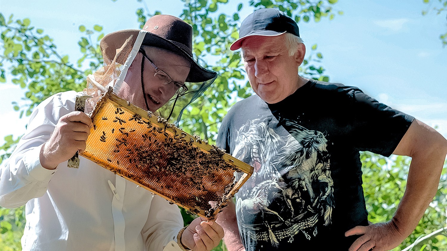 Rolnicy Podlasie Sezon Odcinek Pomoc Pszczelarza Fokus Tv