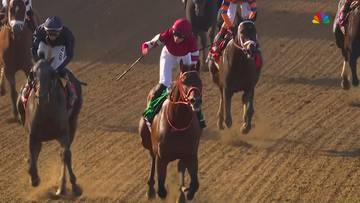 Forever Young triumfatorem prestiżowego Breeders' Cup Classic