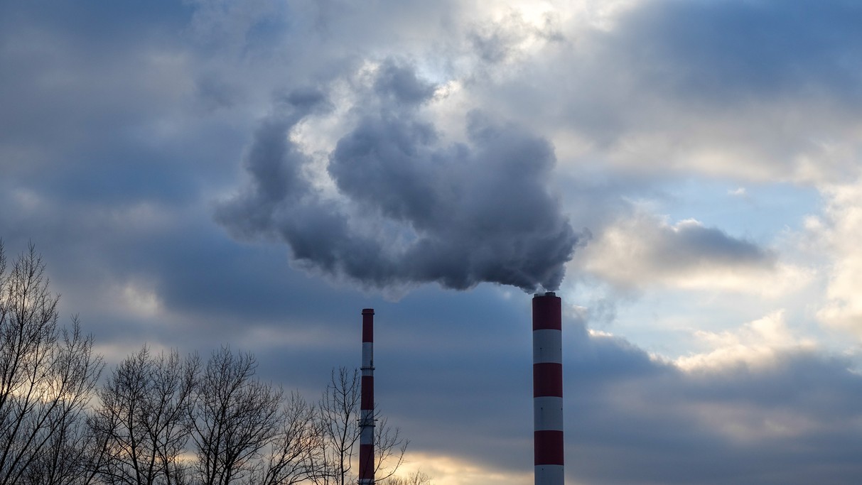 Styczeń w obiektywie - zdjęcie 13