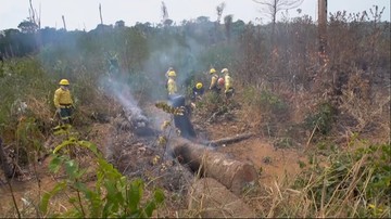Władze Brazylii odrzucają pomoc finansową G7 na walkę z pożarami w Amazonii