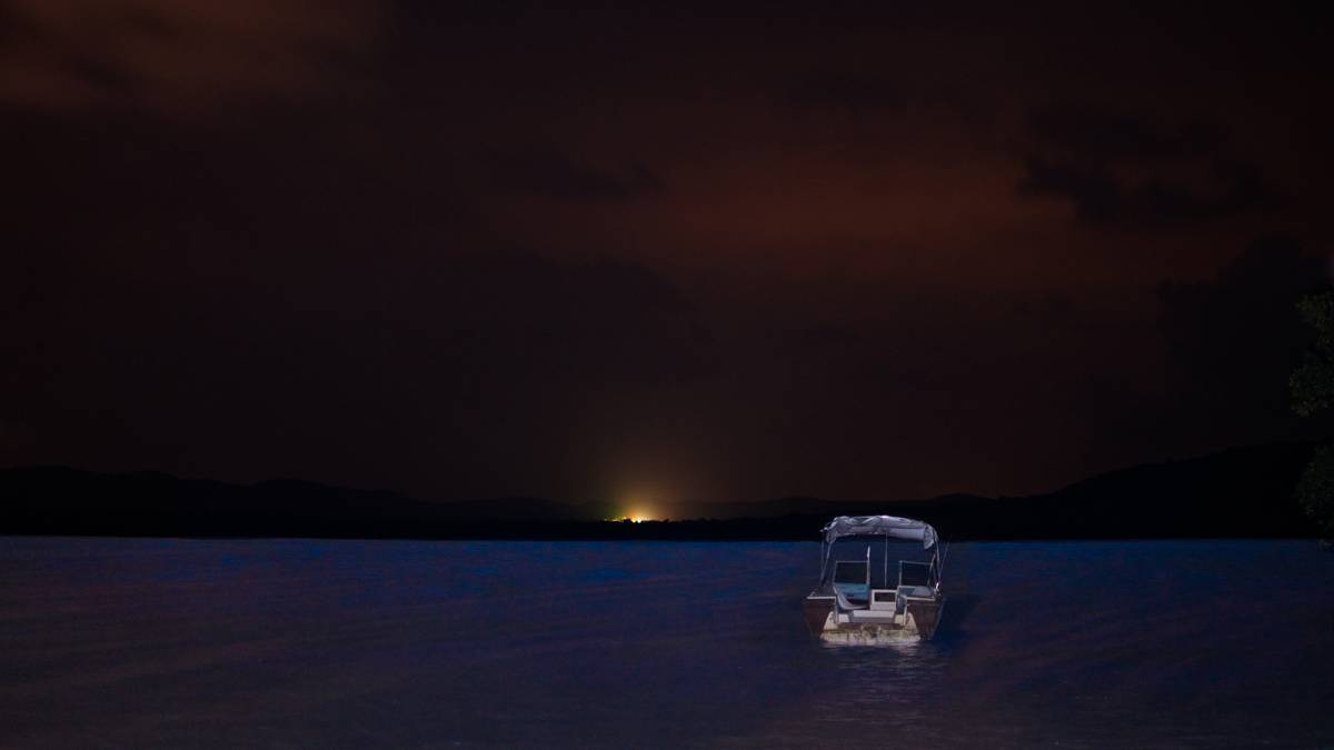 Bioluminescencja to zjawisko, które można podziwiać w różnych zakątkach świata